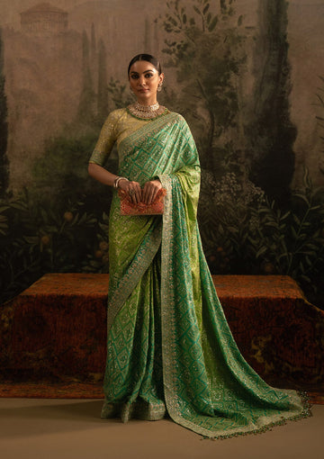 AIK Atelier Look 7 Sari Edit 2025